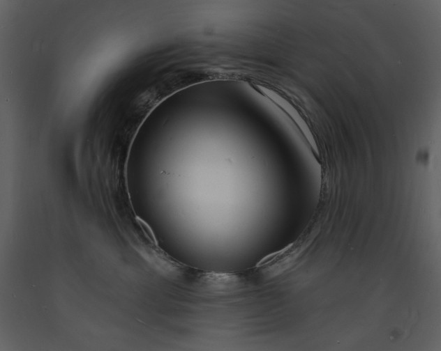 X0000093600429200710221551