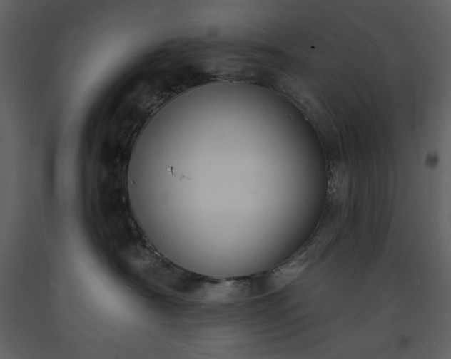 X0000093600430200710221551