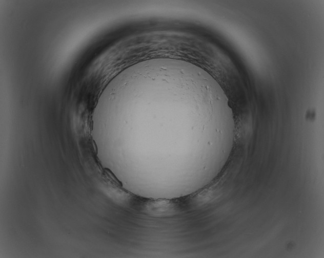 X0000093600431200710221551