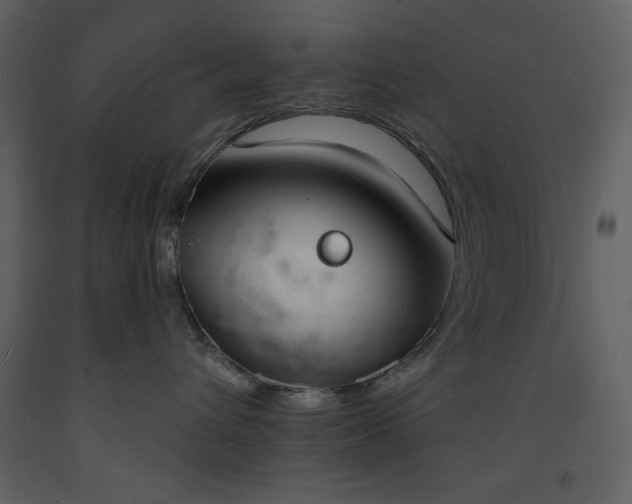 X0000093600432200710221551