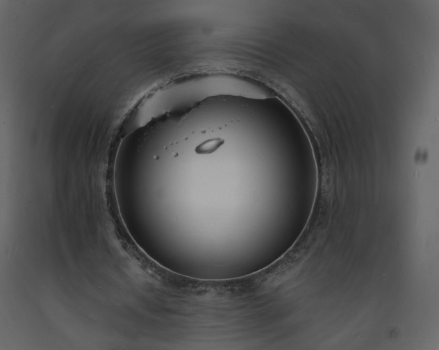 X0000093600434200710221550