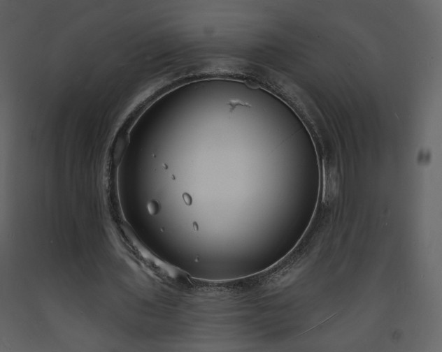 X0000093600435200710221550