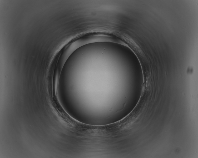 X0000093600436200710221550