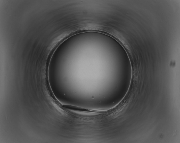 X0000093600437200710221550