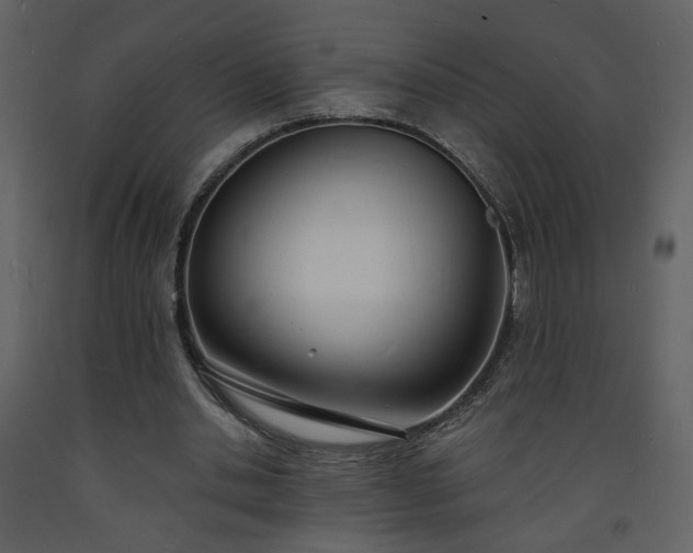 X0000093600438200710221550