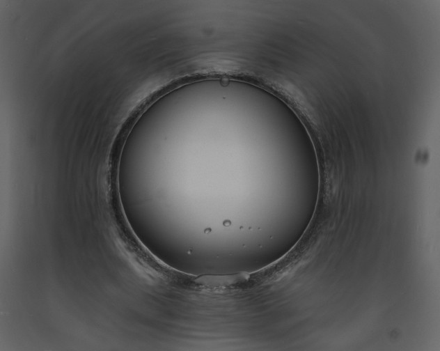 X0000093600439200710221550