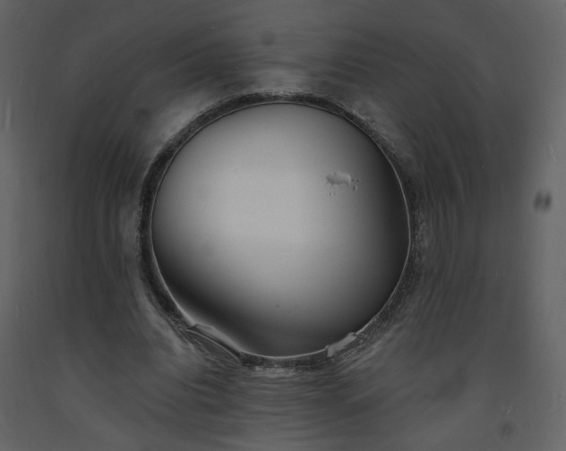 X0000093600440200710221550