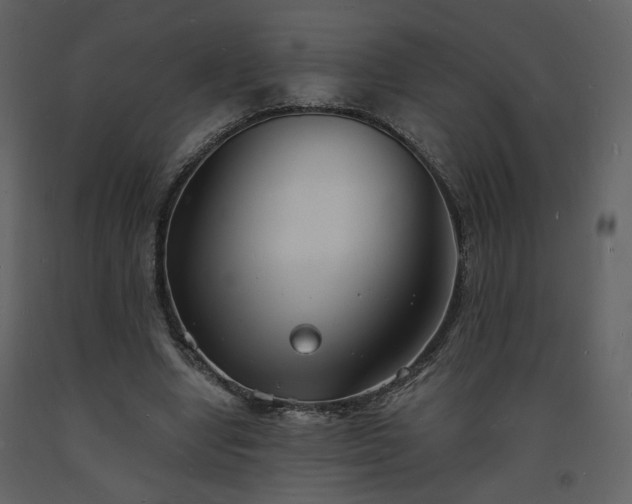 X0000093600442200710221550