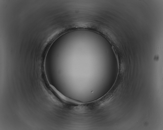 X0000093600444200710221550