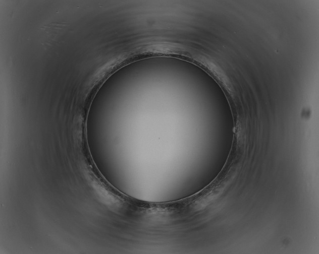 X0000093600445200710221550