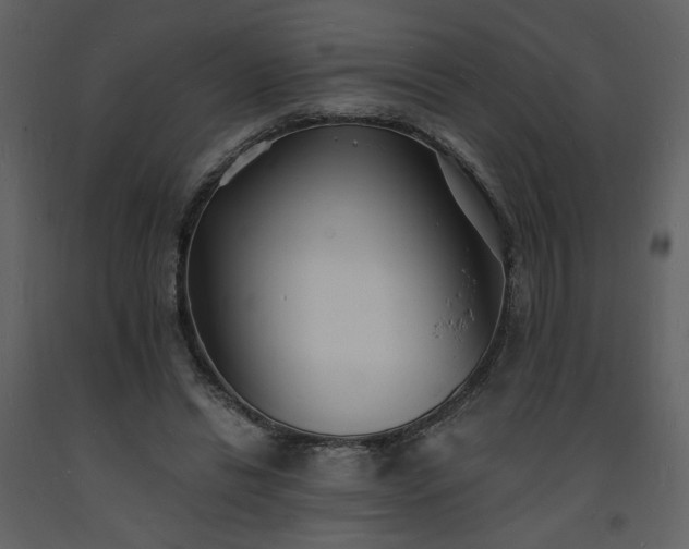 X0000093600446200710221550