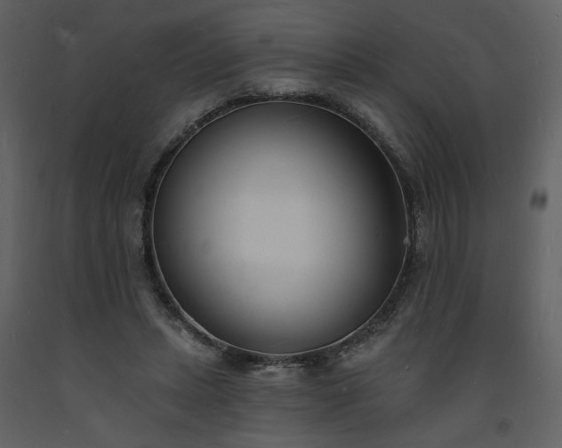 X0000093600447200710221550