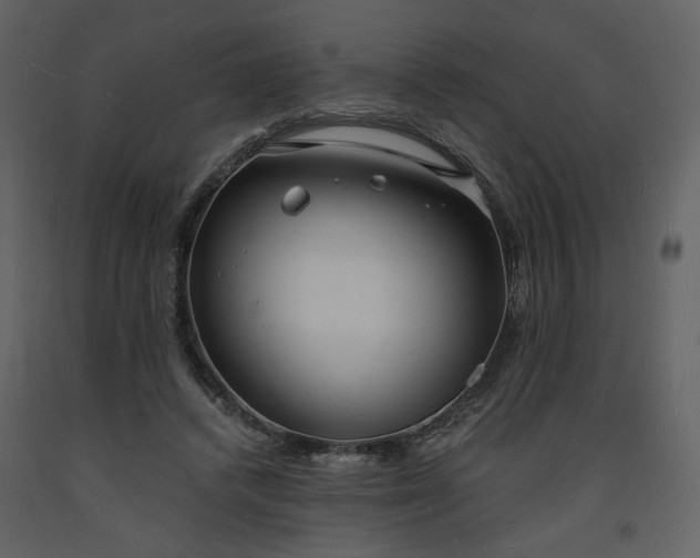 X0000093600448200710221550