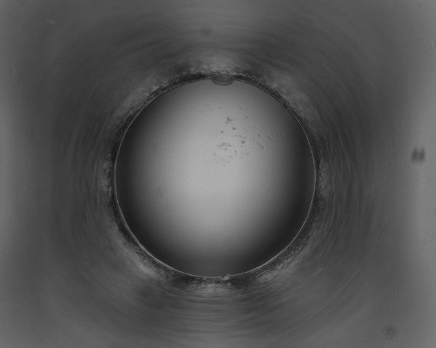 X0000093600449200710221550