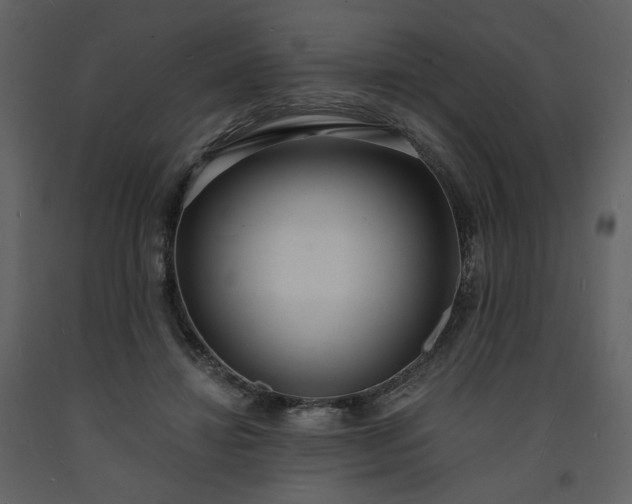 X0000093600452200710221550