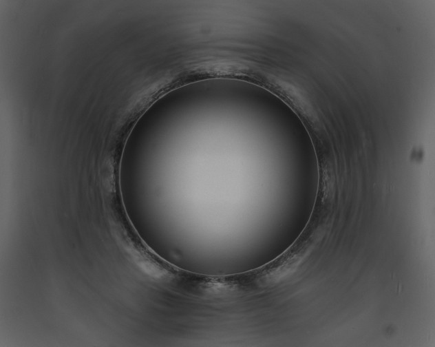 X0000093600453200710221550