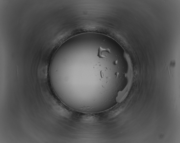 X0000093600454200710221550