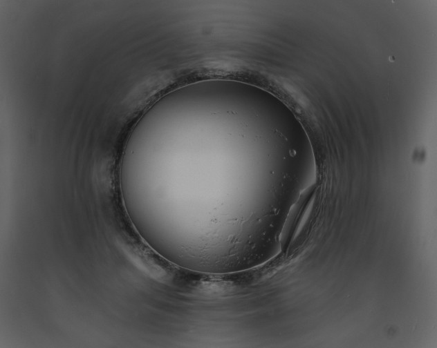 X0000093600455200710221550