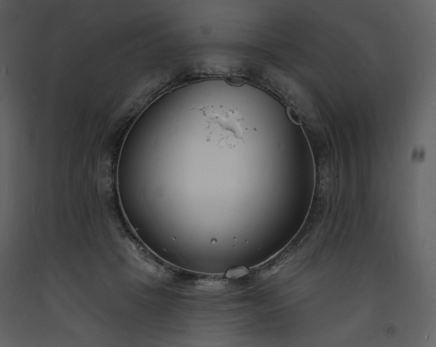 X0000093600457200710221551