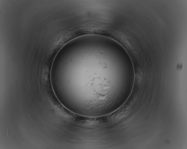 X0000093600458200710221551