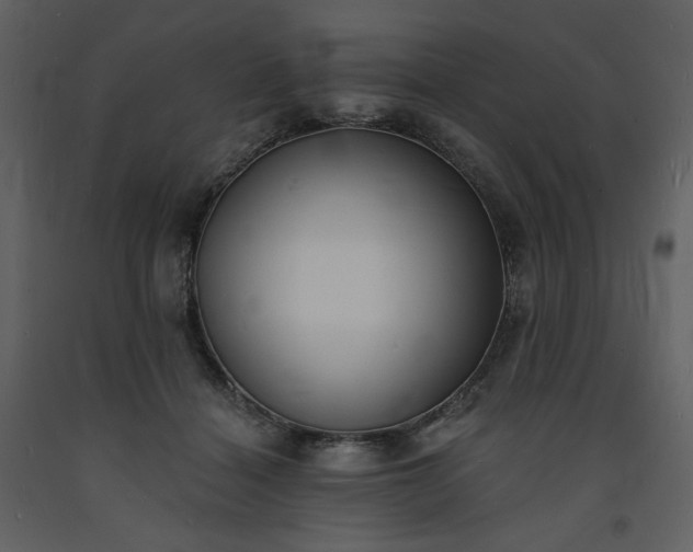 X0000093600460200710221551