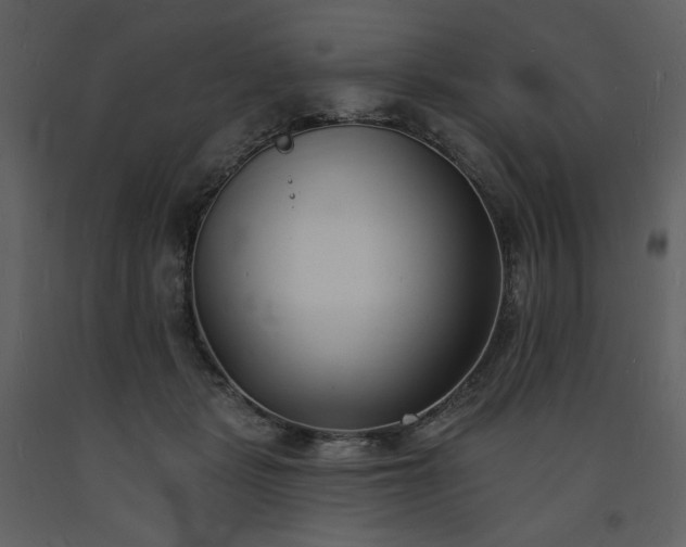 X0000093600461200710221551