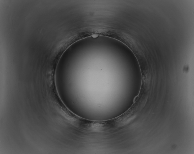 X0000093600462200710221551