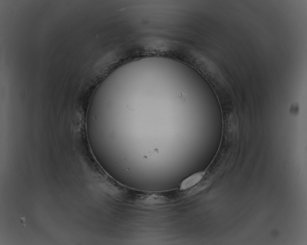 X0000093600463200710221551