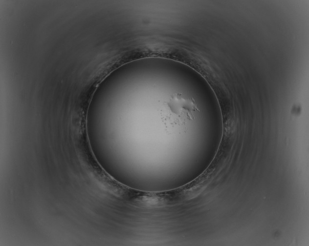 X0000093600464200710221551