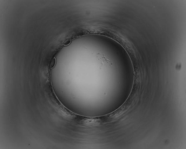 X0000093600465200710221551