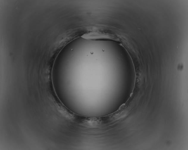 X0000093600466200710221551