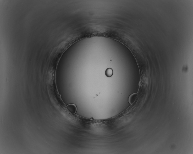 X0000093600468200710221551