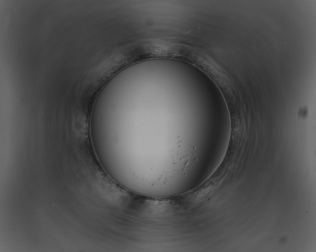 X0000093600469200710221551