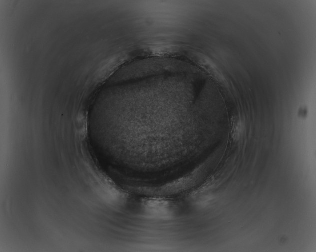 X0000093600471200710221551