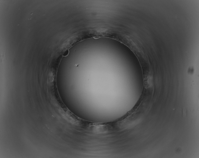 X0000093600472200710221551