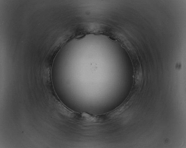 X0000093600473200710221551