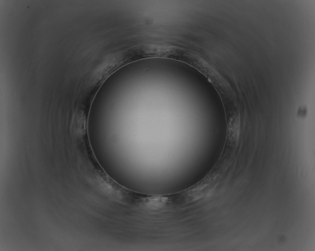 X0000093600474200710221551