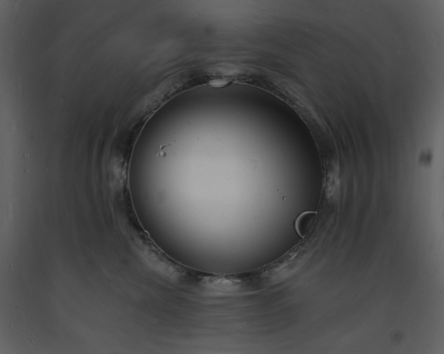 X0000093600476200710221551