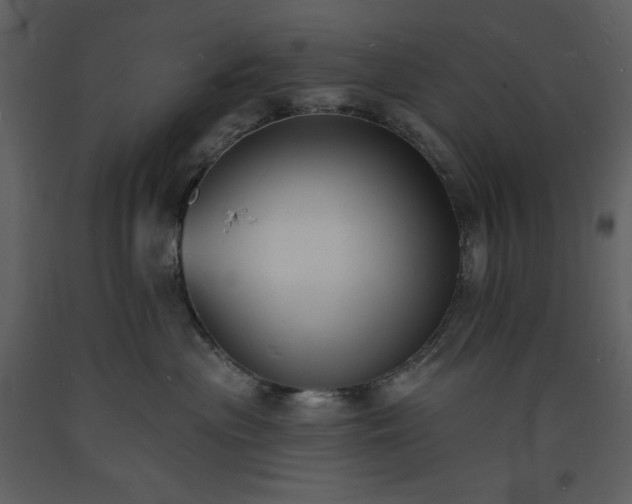 X0000093600477200710221551