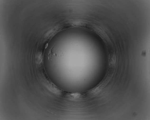 X0000093600478200710221551