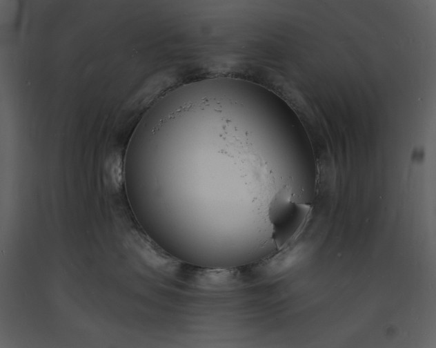 X0000093600479200710221551