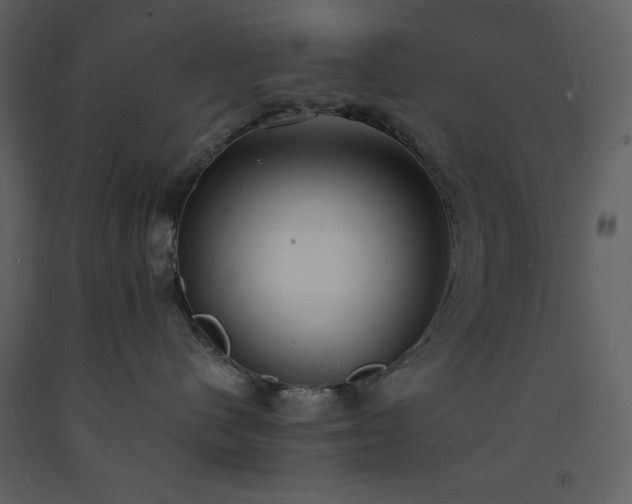 X0000093600480200710221551