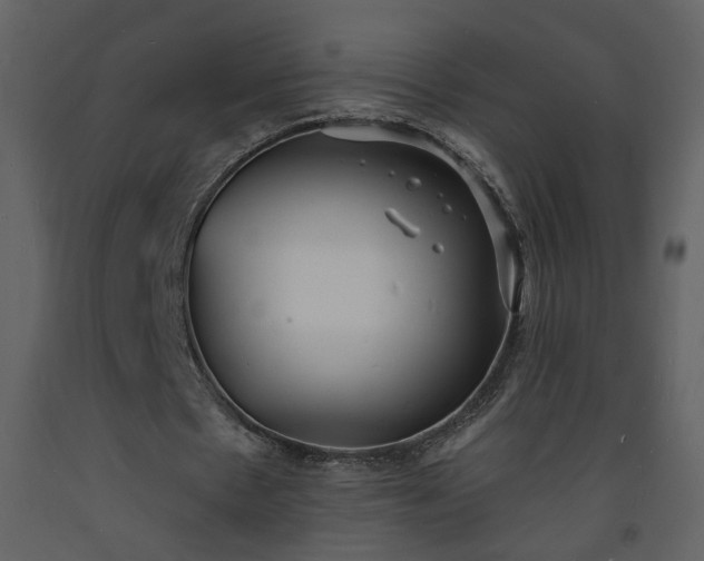 X0000093600481200710221550