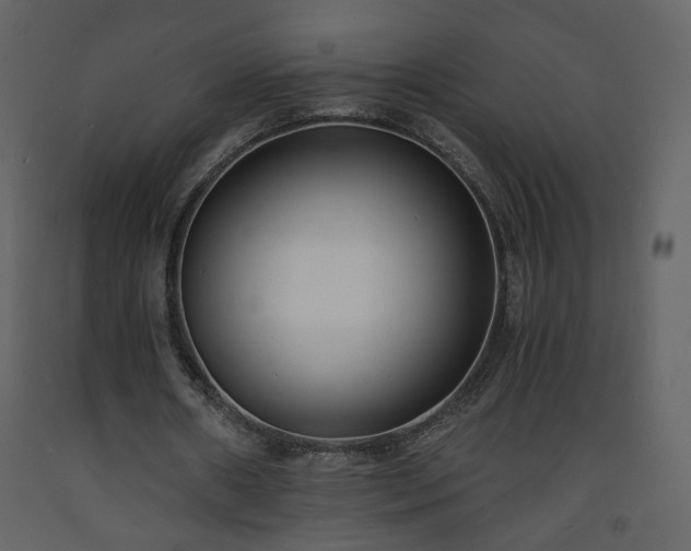 X0000093600482200710221550