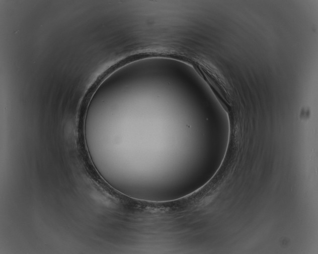 X0000093600484200710221550