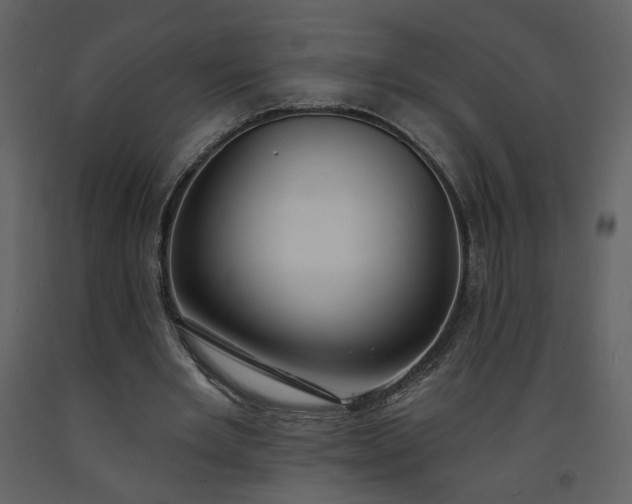 X0000093600485200710221550