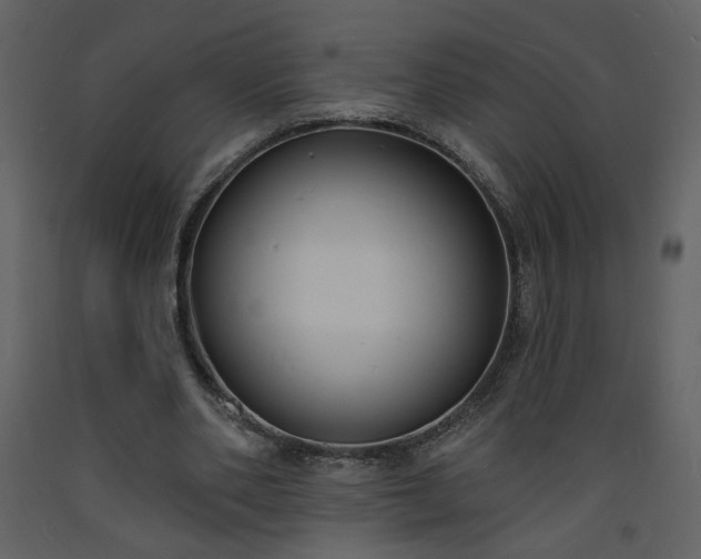 X0000093600486200710221550