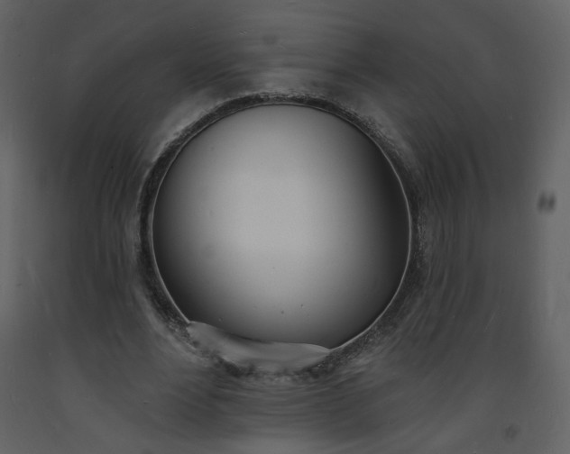 X0000093600488200710221550