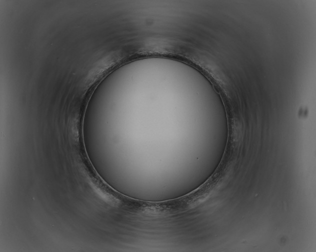 X0000093600489200710221550