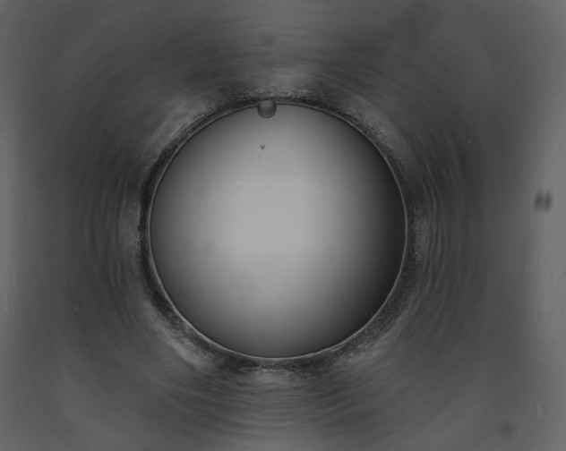 X0000093600490200710221550